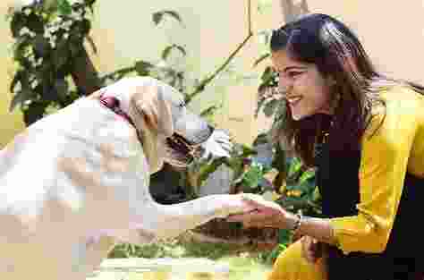 In a bid to aid pet parents in their search for missing pets, Swiggy has announced 'Swiggy Pawlice,' leveraging its vast network of delivery partners.