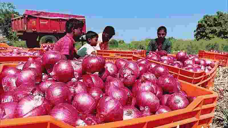 Govt permits export of 99,150 metric tonnes of onion to 6 countries