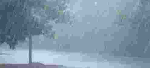 Four die in Kerala of torrential rains.