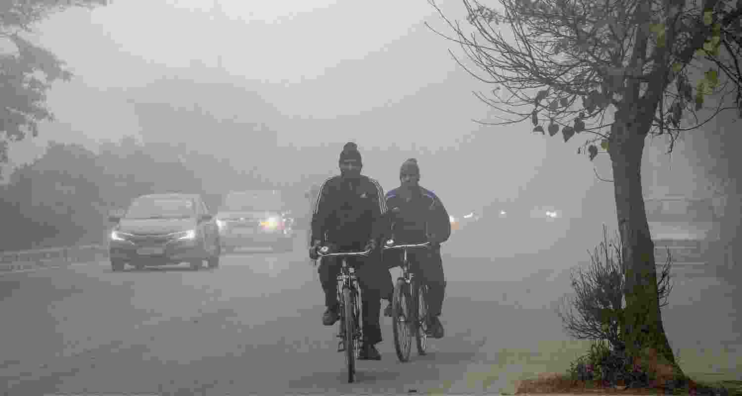 Delhi, Winter, Cold, India