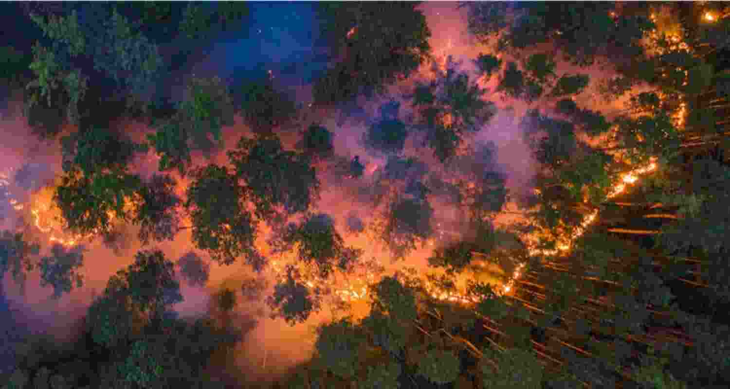 Massive forest fires in Poonch, J&K
