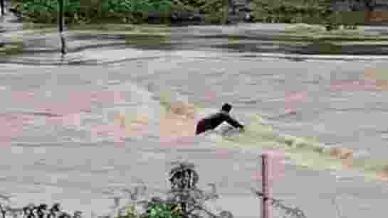 Heavy rain hits Rajasthan, Bundi’s Hindoli records 220 mm rain