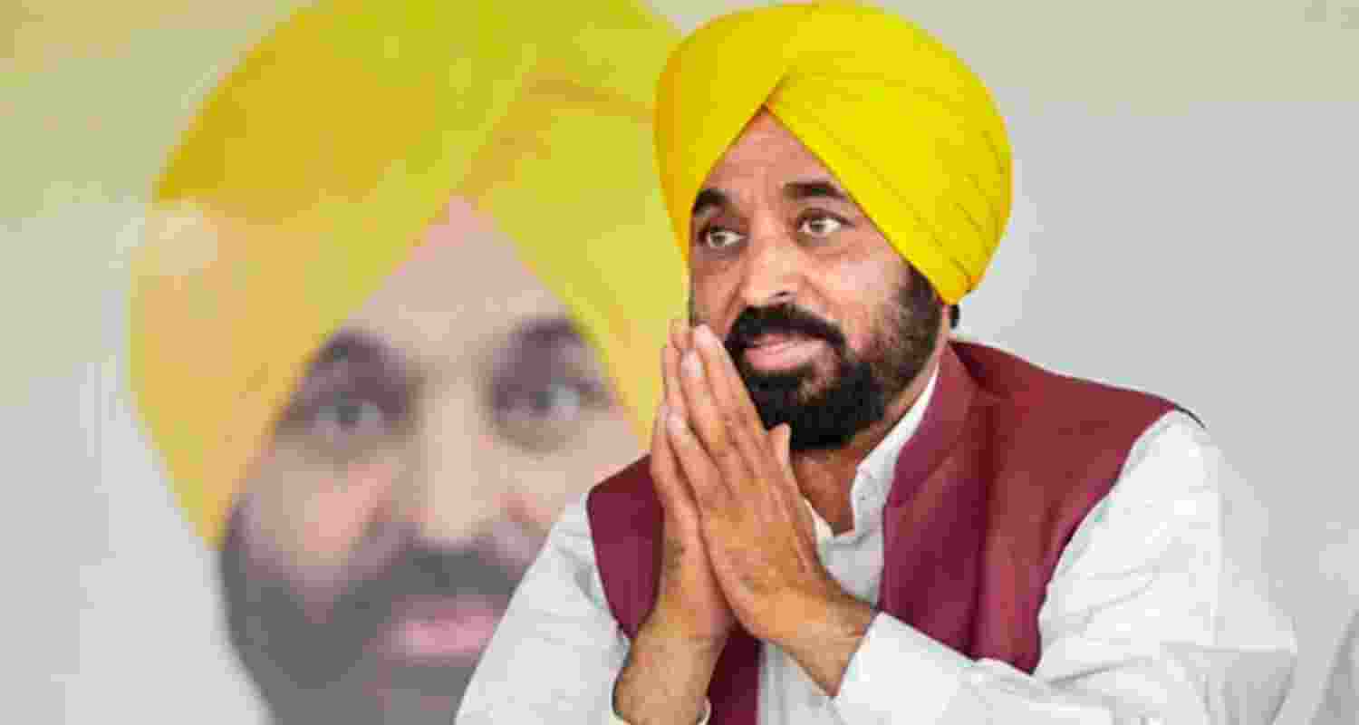 Punjab Chief Minister Bhagwant Mann - file image.