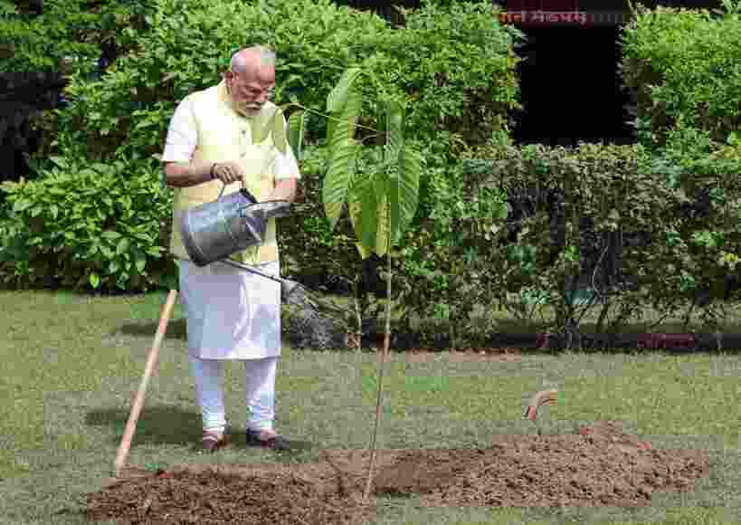 PM Modi plants sapling gifted by British King on his 75th B'day