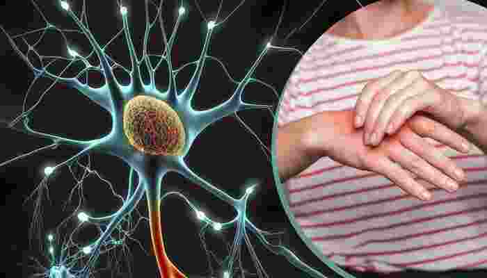 73 cases of Guillain-Barre Syndrome reported in Pune