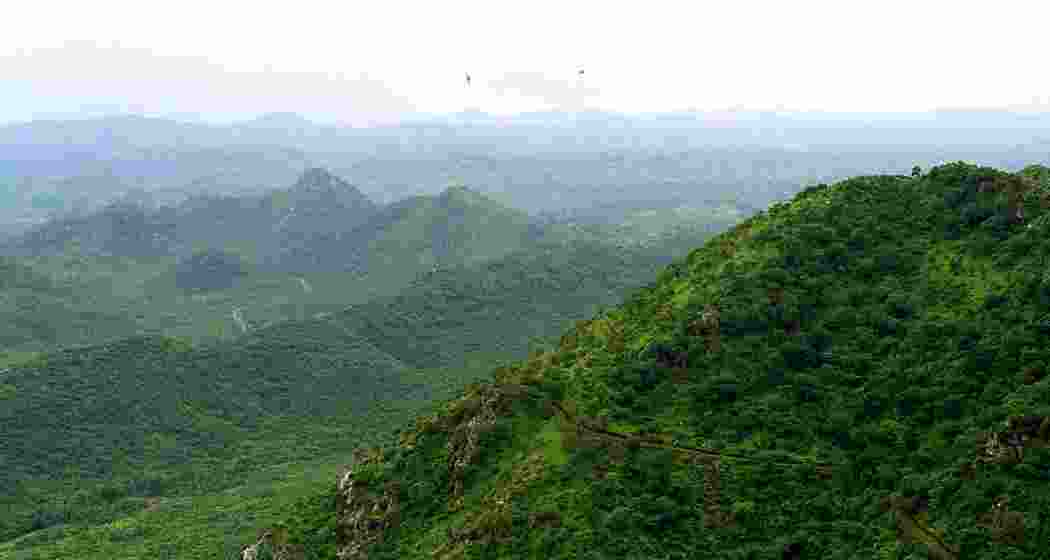 A section of the Aravalli hills. (PTI) A section of the Aravalli hills. (PTI)