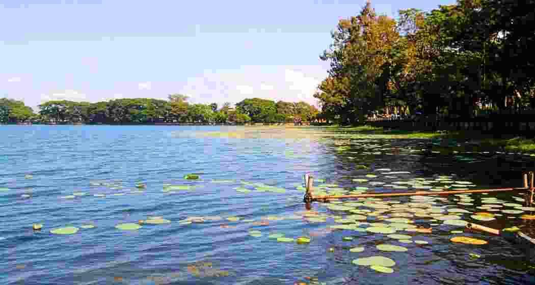 The Joysagar Tank in Assam's Sivasagar.