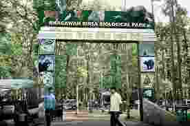 Jharkhand govt moves HC to lift fund freeze to save zoo animals