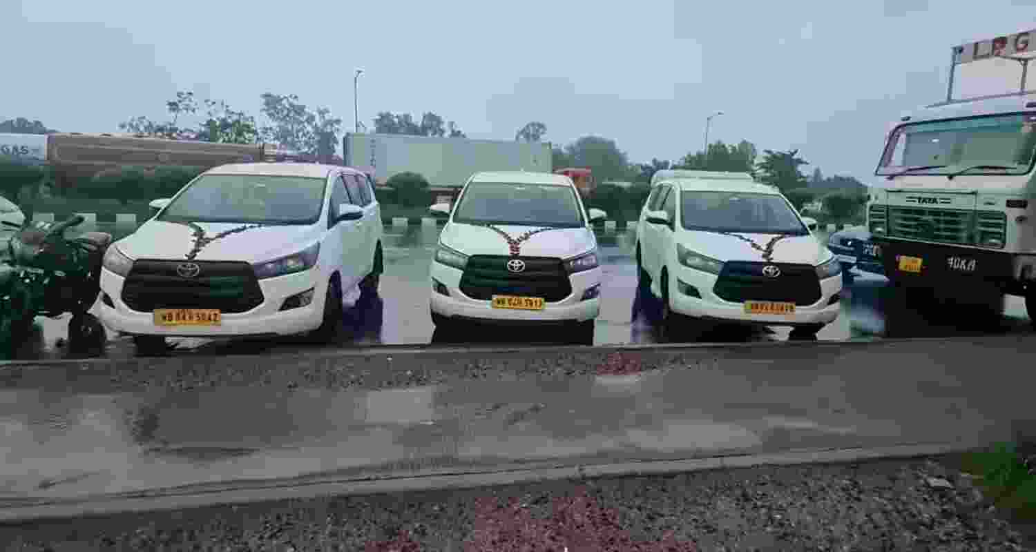 A representative image. 