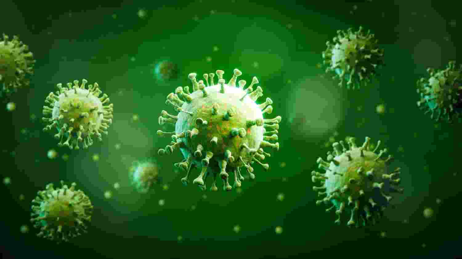 India confirms 53 Chandipura virus cases, 19 fatalities