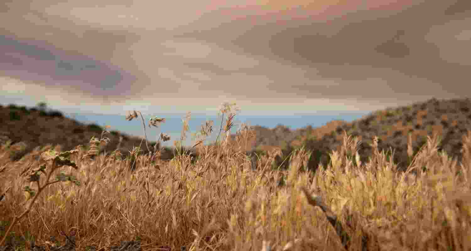 Five ways that climate change threatens human health Five ways that climate change threatens human health