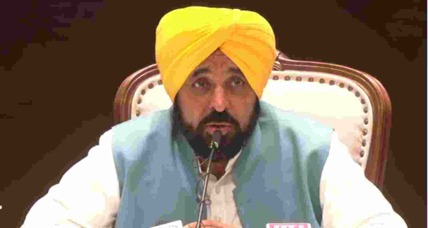 Punjab Chief Minister Bhagwant Mann - file image.