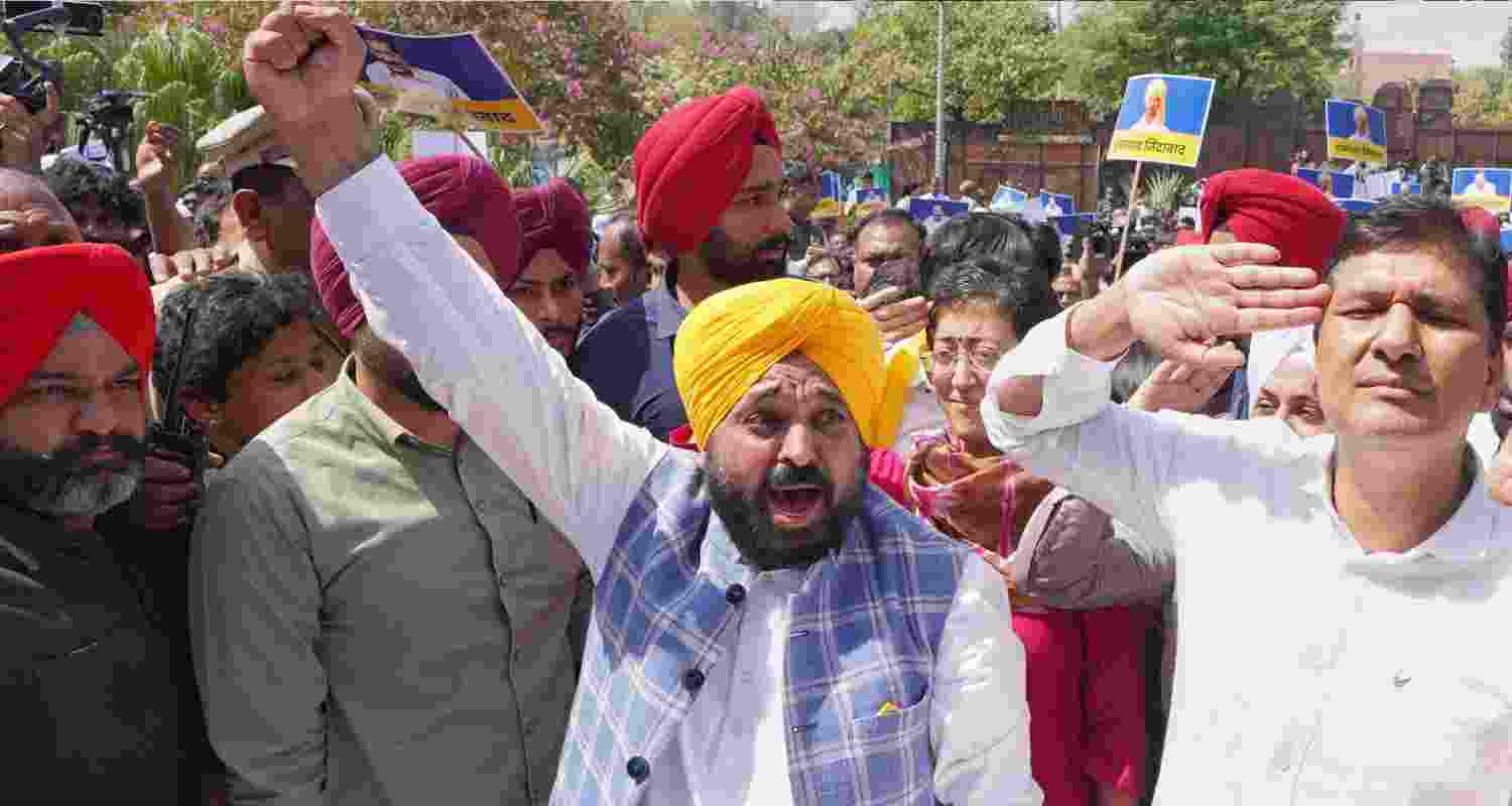 Punjab CM Mann. Punjab CM Mann.