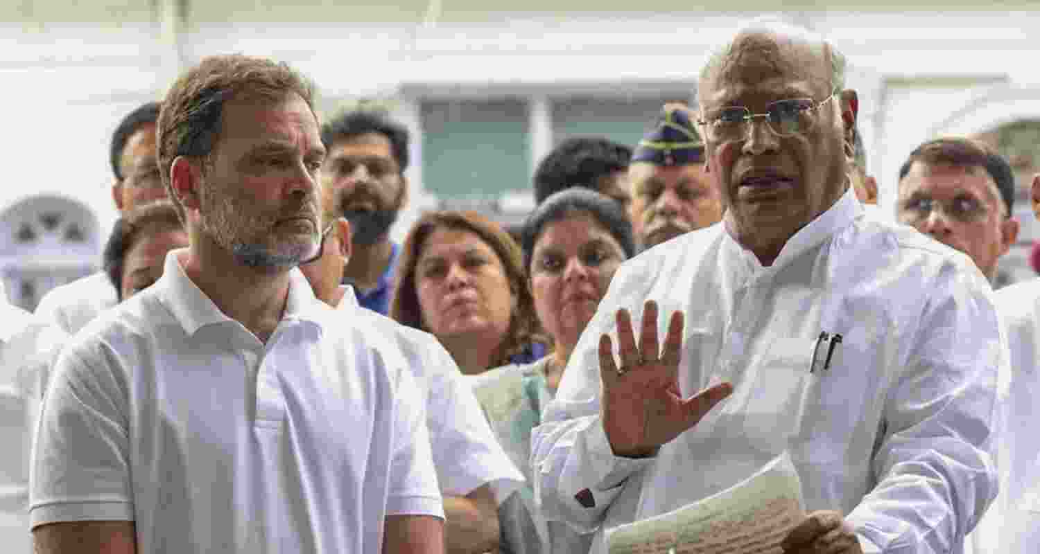 A representative image.