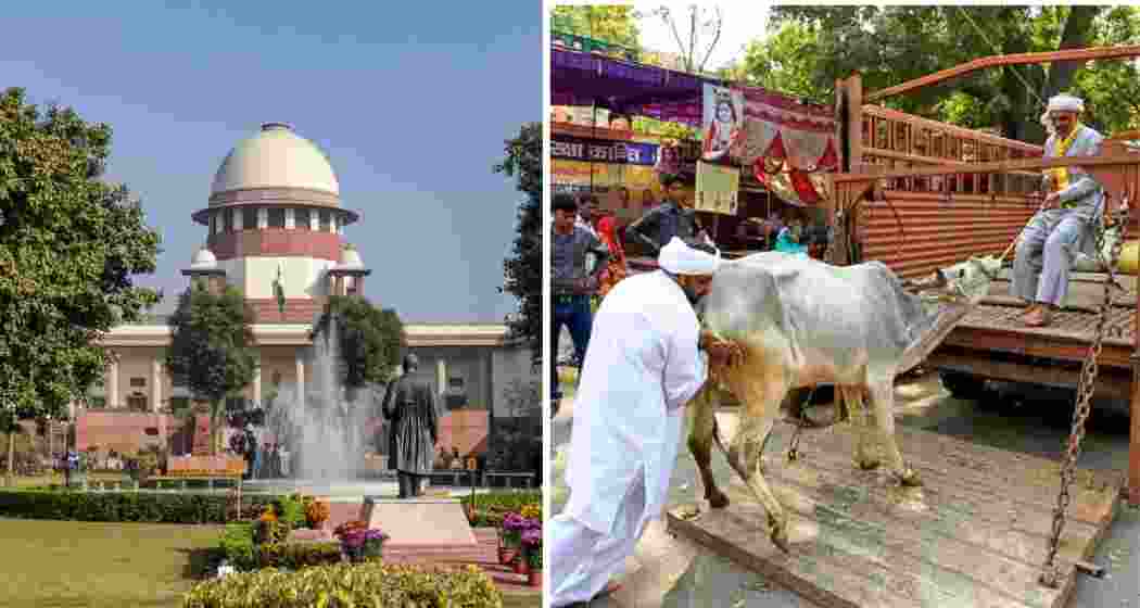 The Supreme Court on Monday stayed the Madras High Court's order imposing a statewide ban on the slaughter of cows and calves in Tamil Nadu while hearing the state's appeal.