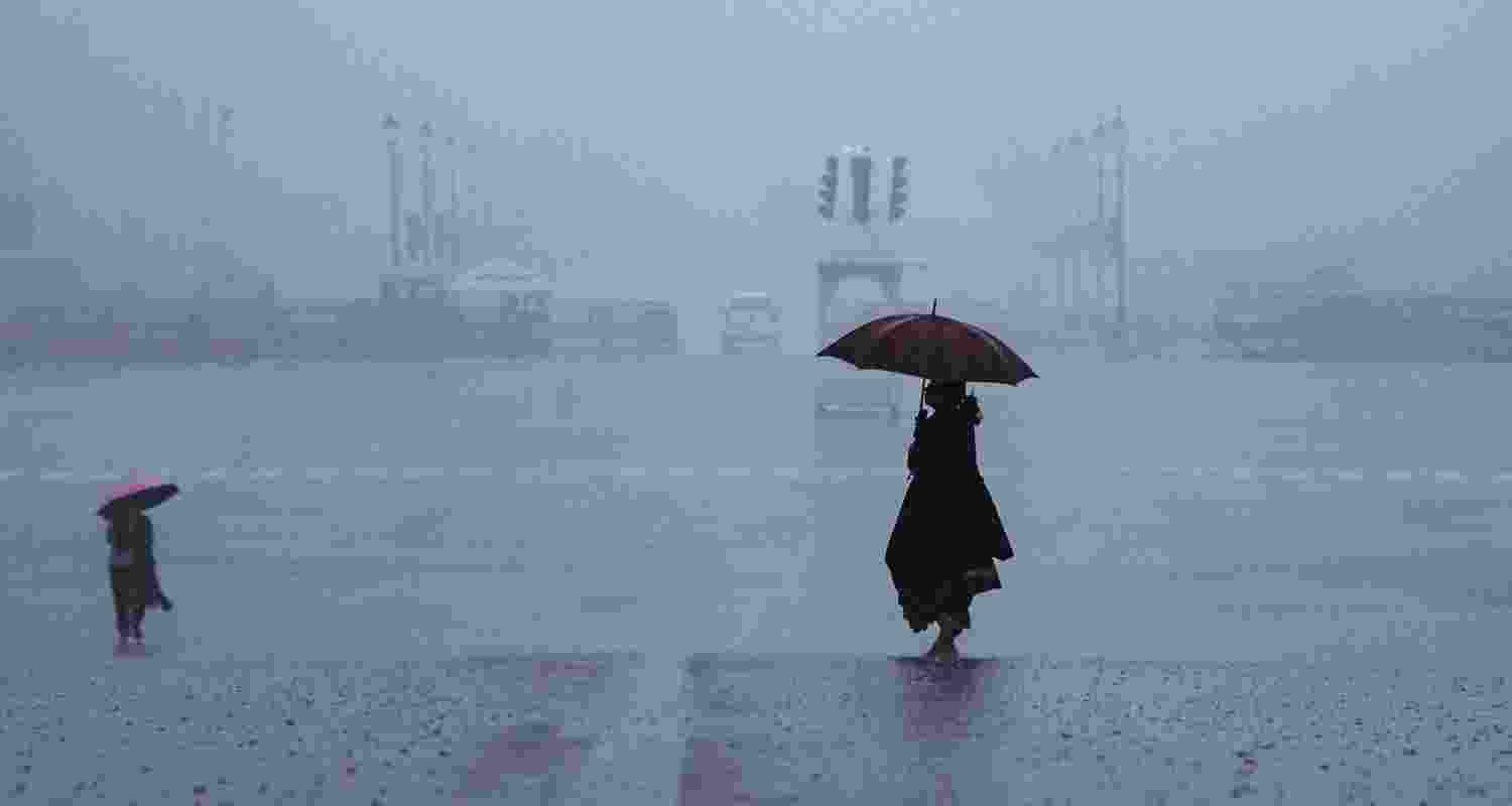 A representative image.