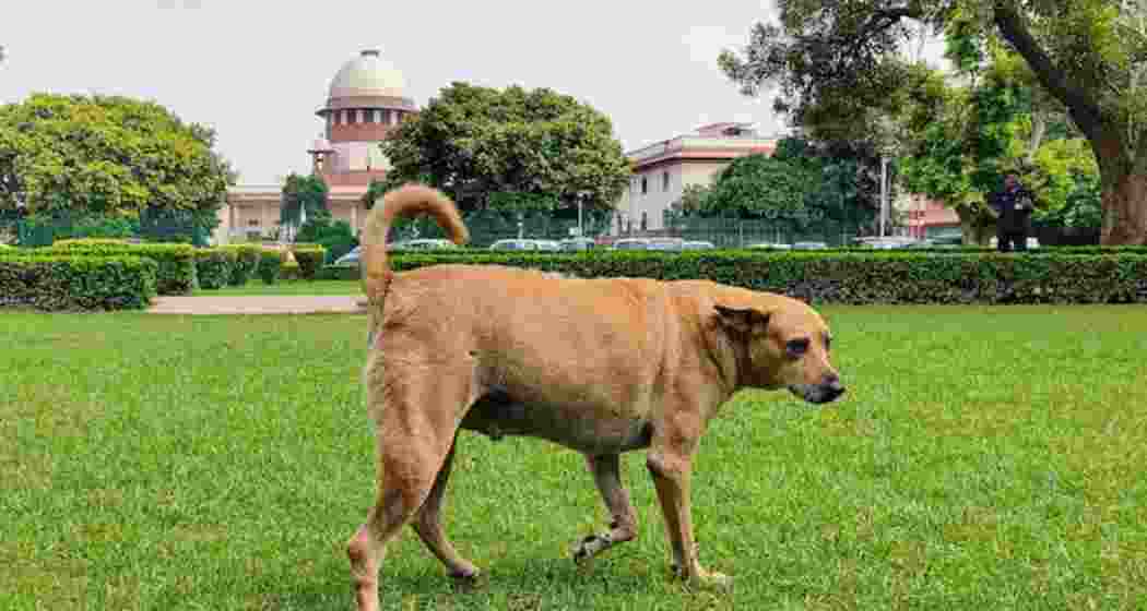 The Chief Secretaries have been asked to appear on November 3.