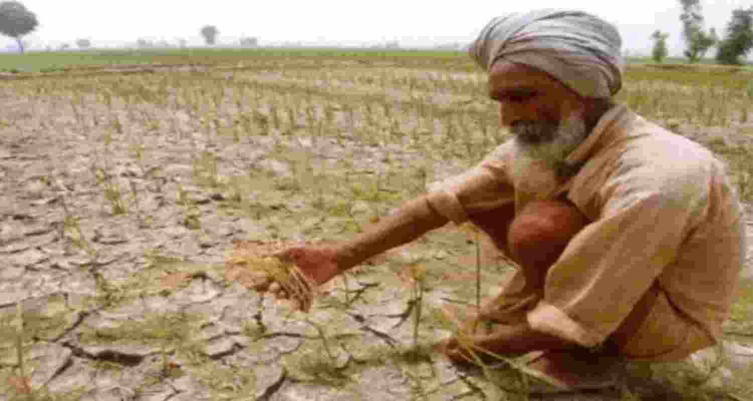 Relief for farmers and state government on drought issue. Relief for farmers and state government on drought issue.