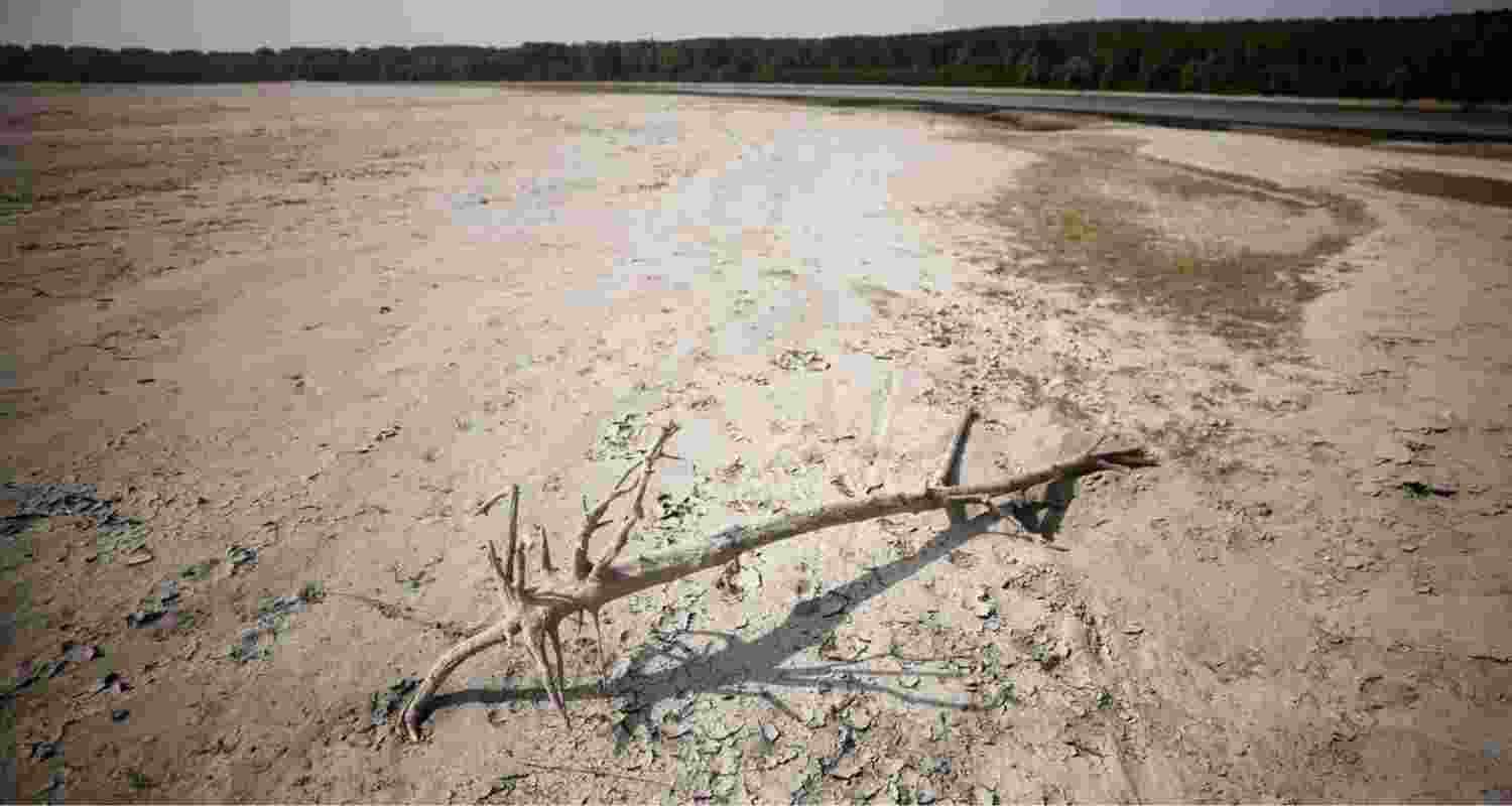 Representational image. Representational image.