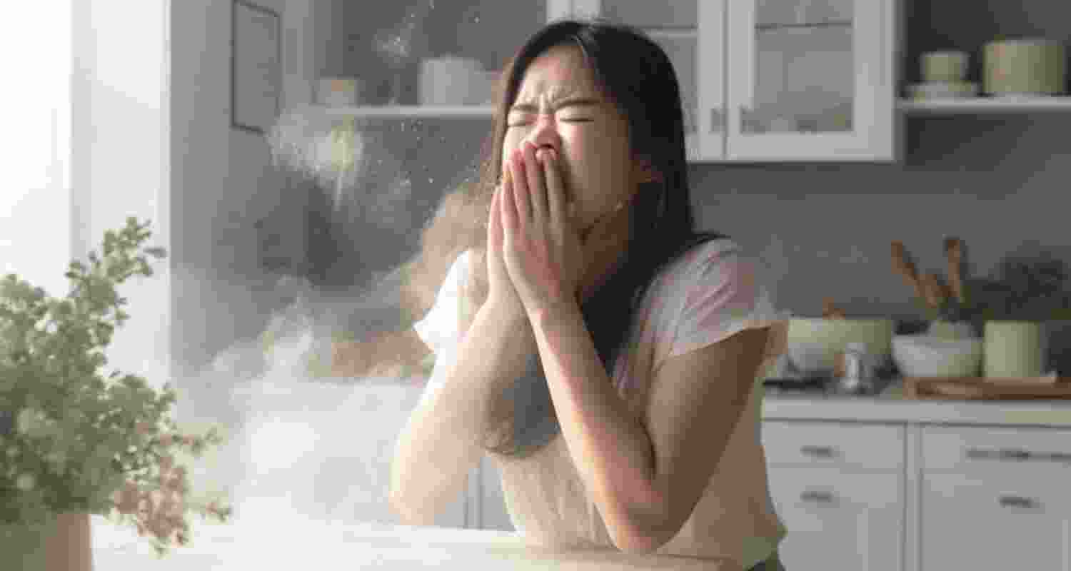 House dust mites trigger year-round allergies—here’s why