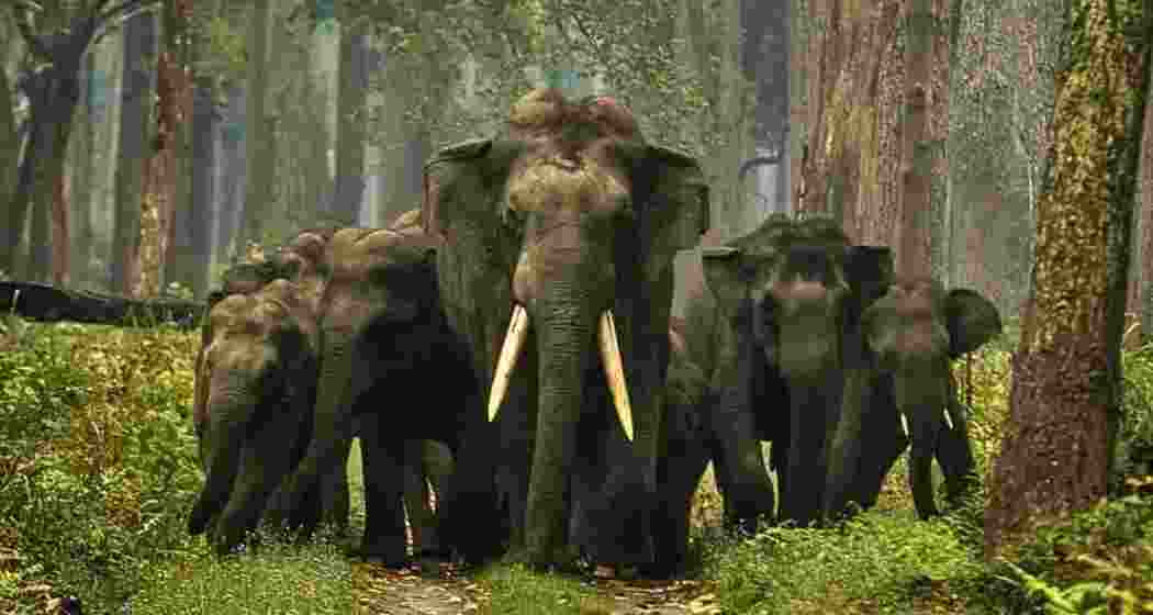 Representative image. Representative image.