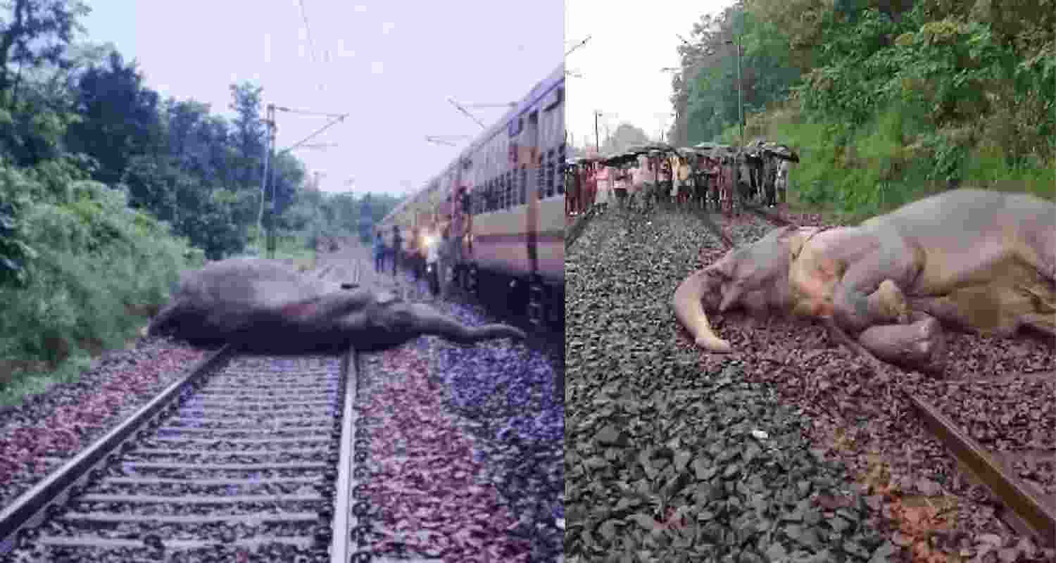 A representative image.