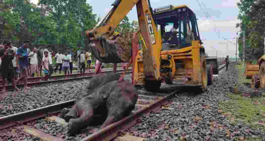 The carcass of an elephant calf being removed from the tracks by an earthmover near Banstala station in Jhargram, close to the Bengal–Jharkhand border, on Friday.
