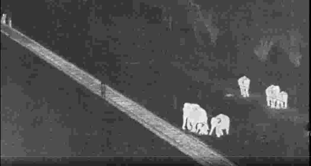 Elephants walk near railway tracks as AI-based detection technology monitors their movement through camera-mounted towers along the line.
