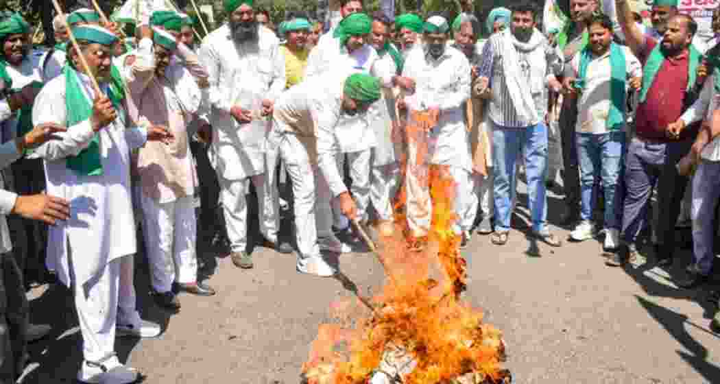 Farmers burn Punjab CM’s effigies over Shambhu eviction