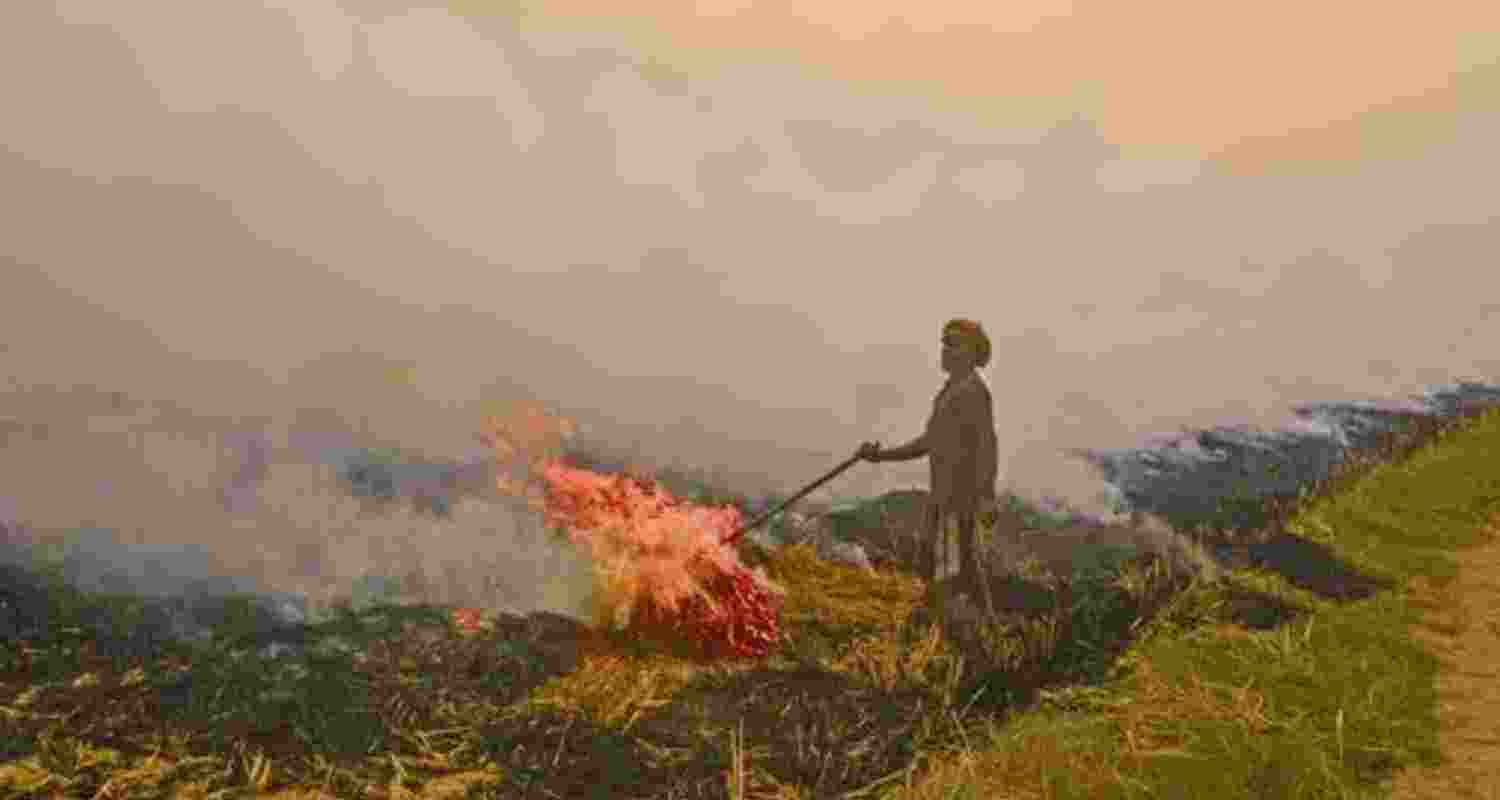 Representative Image. 