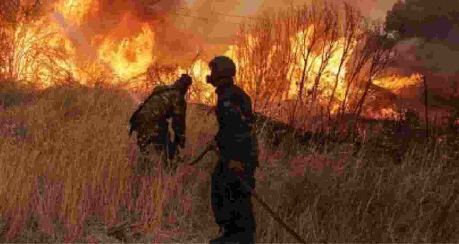 California National Guard steps up as wildfires rage in southern US