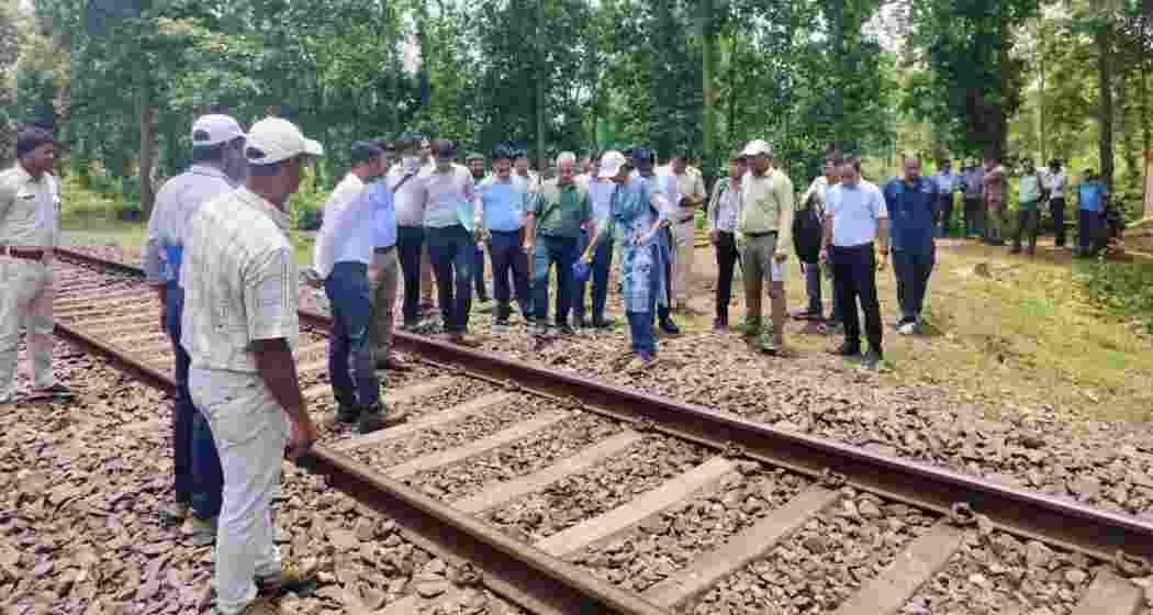 Forest officials inspect the site where a mother elephant and two calves were killed by a train in WB's Jhargram. Forest officials inspect the site where a mother elephant and two calves were killed by a train in WB's Jhargram.