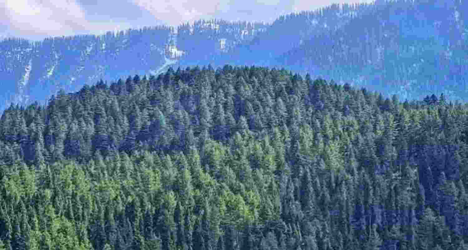 Representative image.