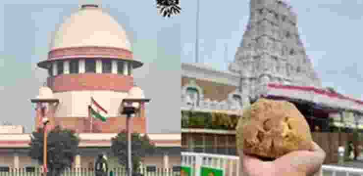 SC to hear petitions on alleged use of animal fat in Tirupati laddus today