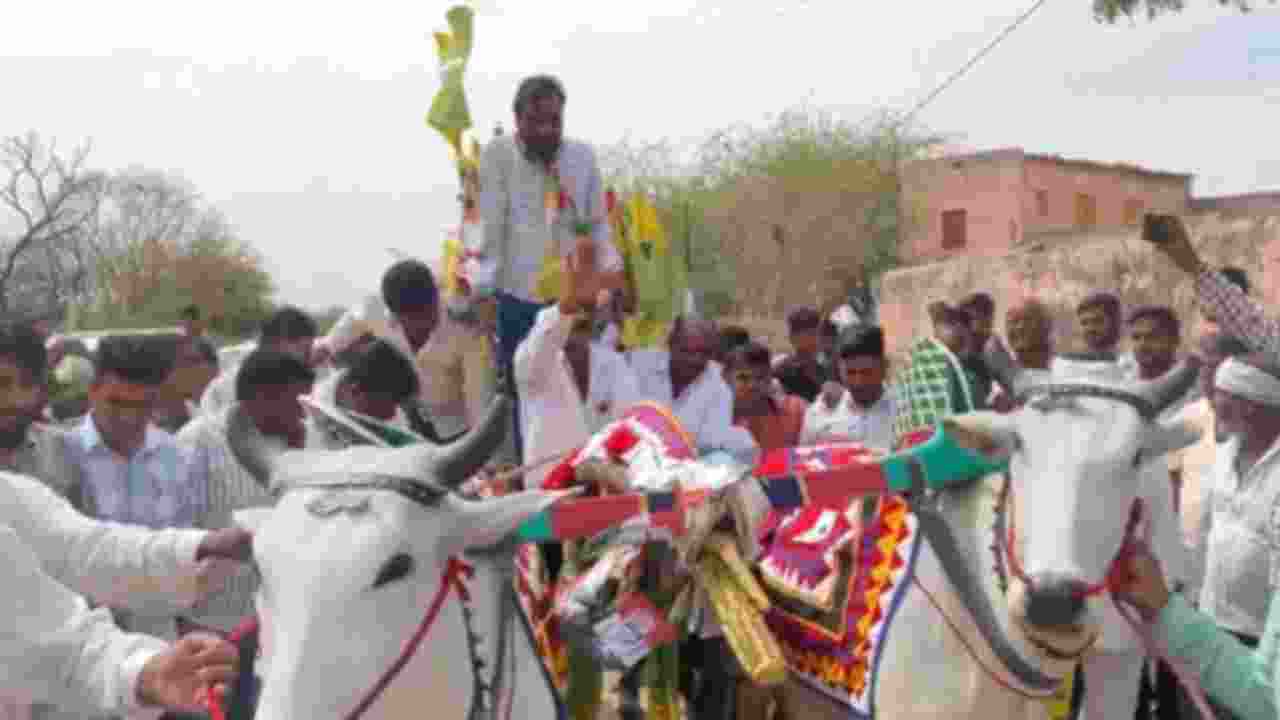 Hanuman Beniwal's bullock cart campaign draws attention in Nagaur polls Hanuman Beniwal's bullock cart campaign draws attention in Nagaur polls