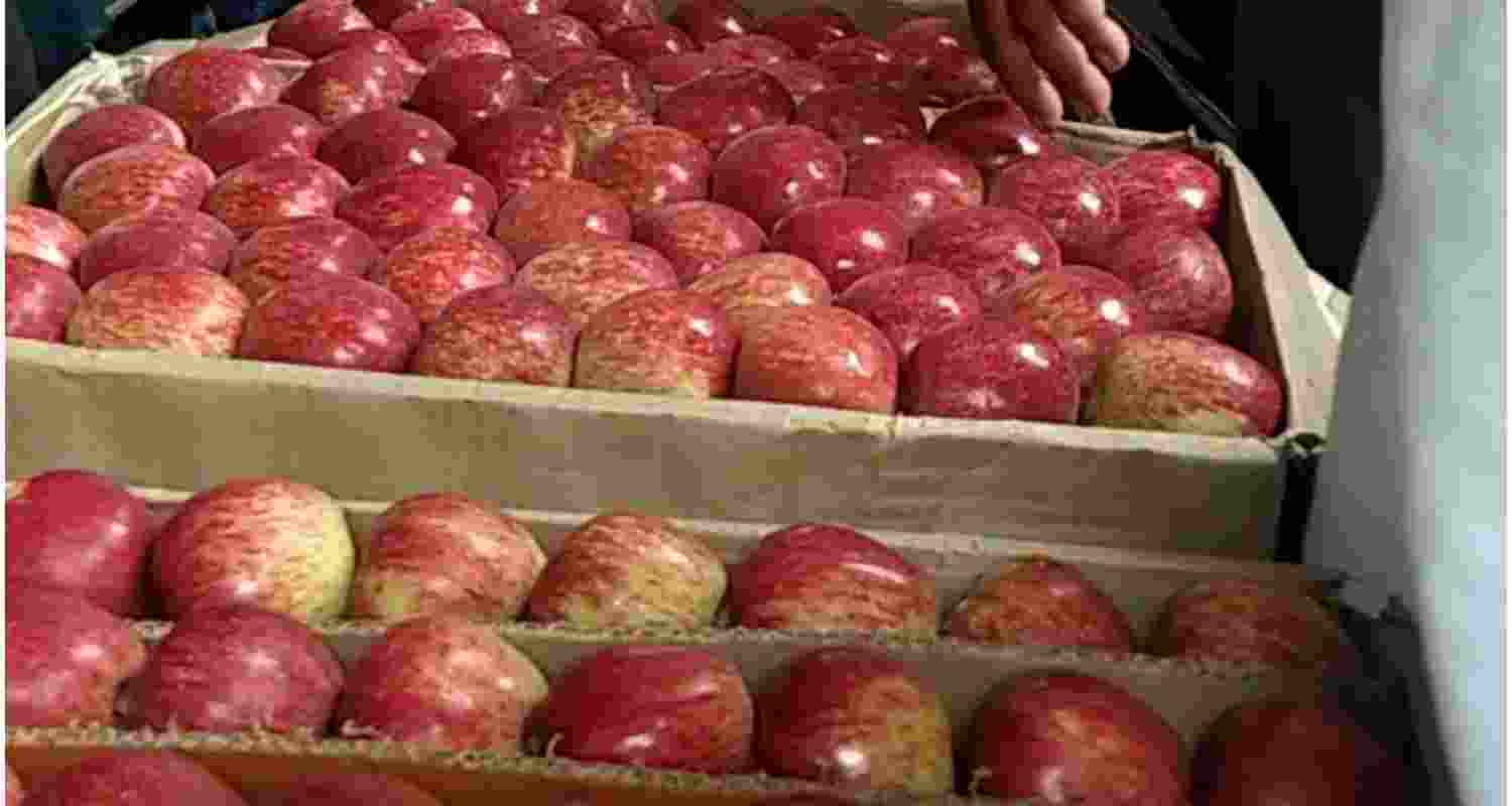 A government spokesperson said this was made possible by government machinery working round the clock to ensure smooth transportation of apples during the apple season 