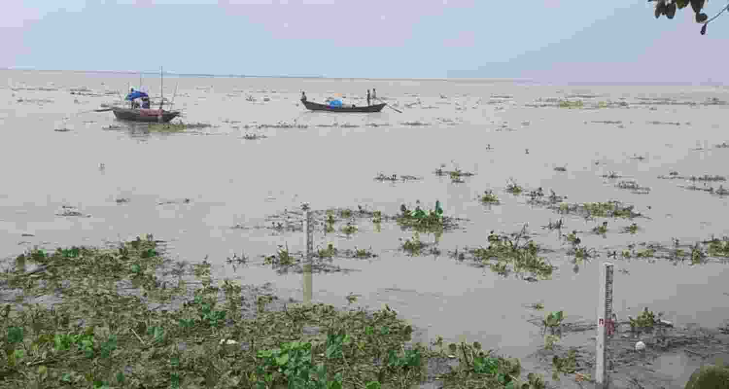 The seasonal surge of the Ganga in Sahibganj typically occurs during the monsoon months of Sawan and Bhado. 