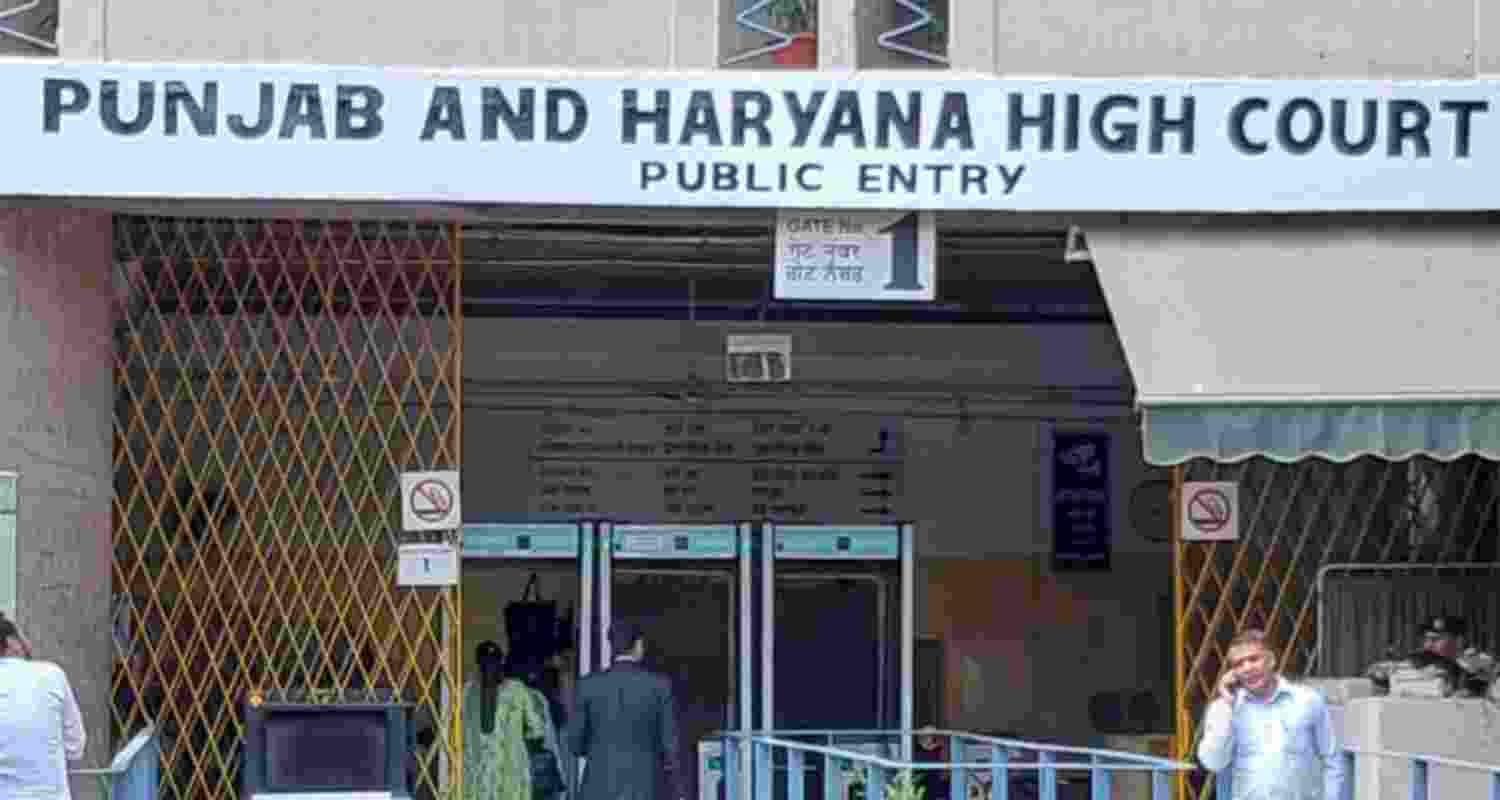 Punjab and Haryana High Court sought a status report on alleged illegal mining in Jalandhar, Moga and Ludhiana, directing the state to act promptly.