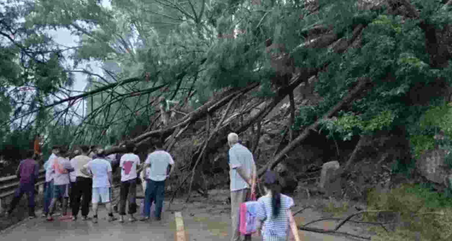 Himachal continues to reel under rain