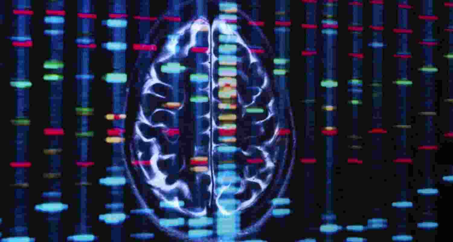 Male and female brains show different gene activity