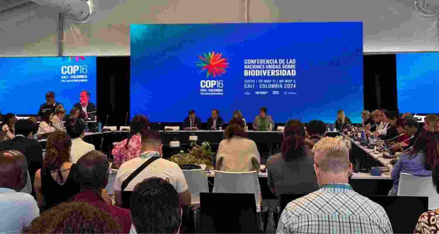 High Level Talks At COP16 Focus On Global Biodiversity Conservation.