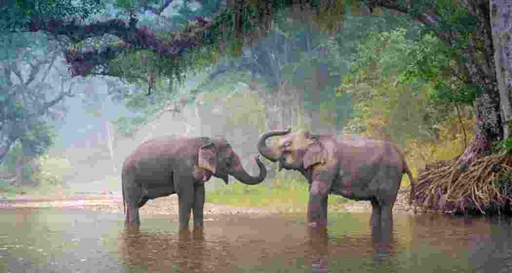 Image for representative use only.