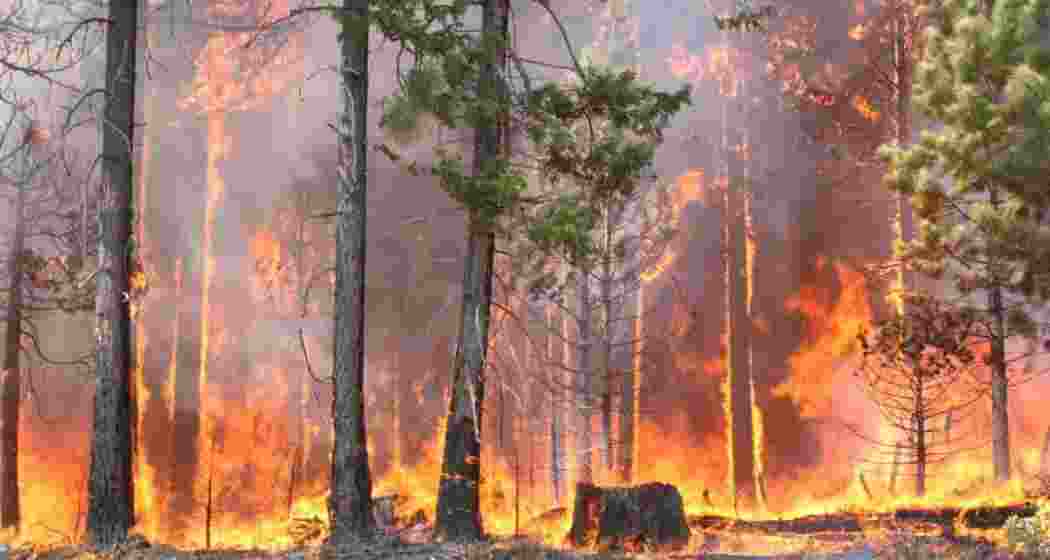 Image for representative use only.