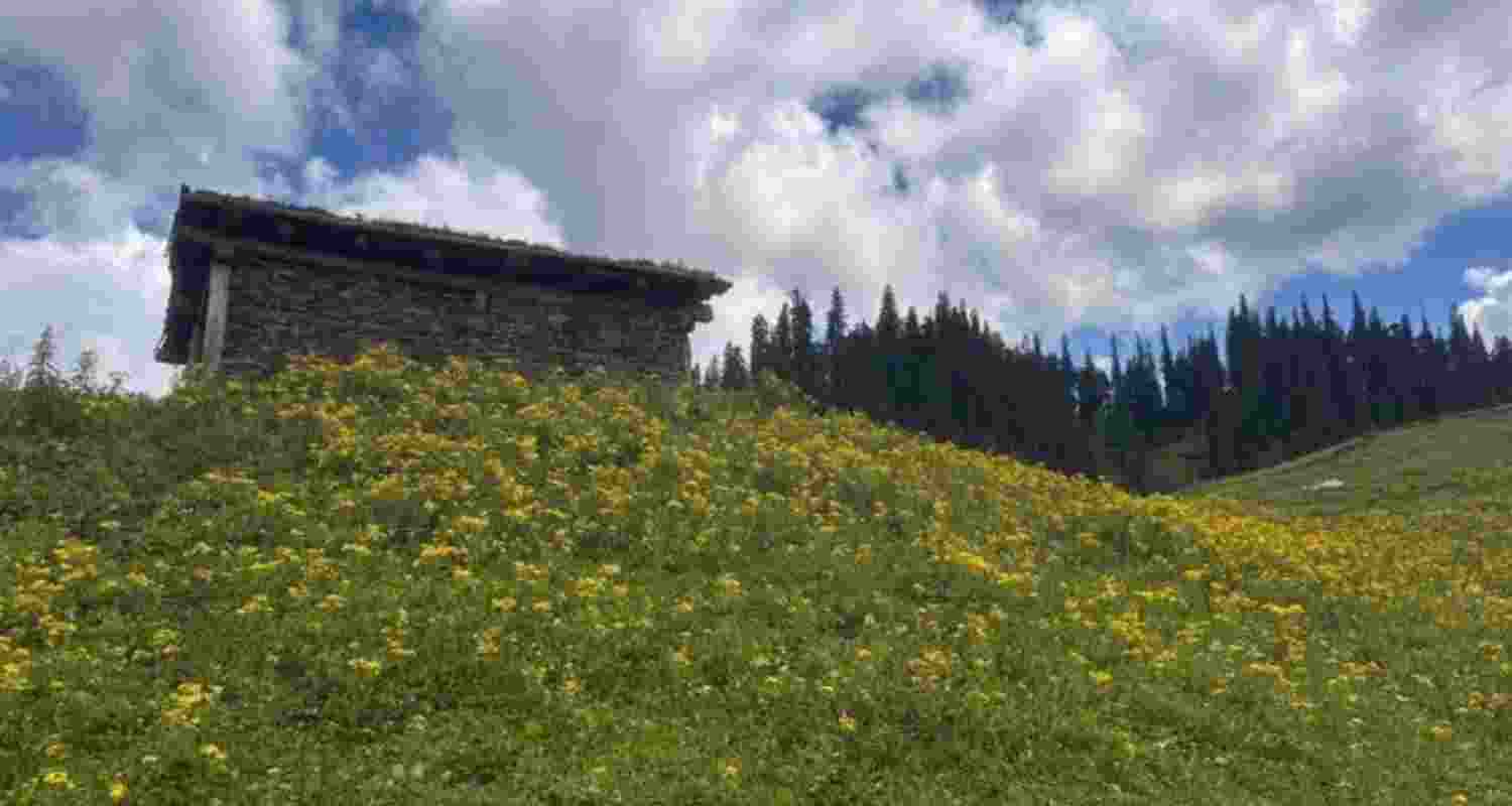 Bhaderwah tourism in shambles post Pahalgam terror