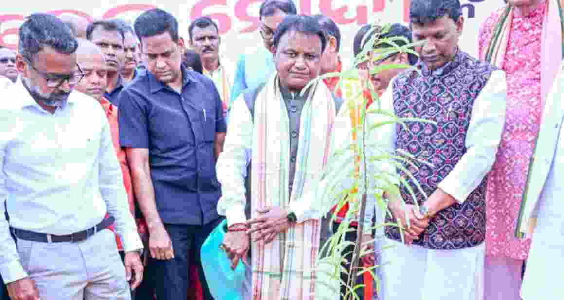 Odisha govt plants 1 crore saplings on PM Modi’s 75th birthday