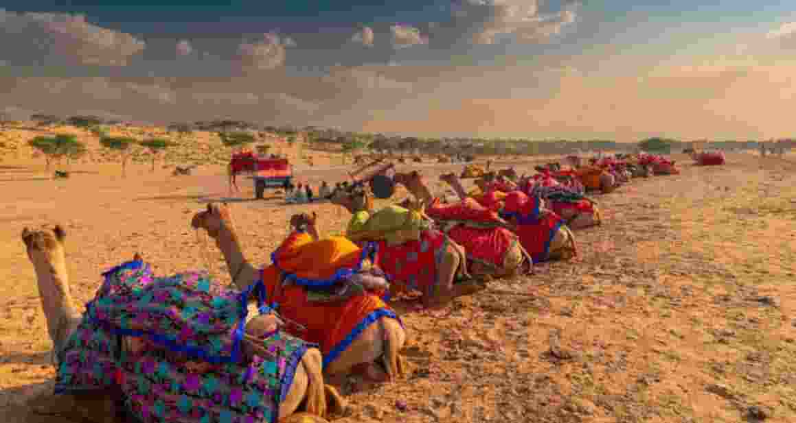 A policy brief released by the ATREE at the meeting highlighted the ecological, economic and cultural significance of Rajasthan's open ecosystems. A policy brief released by the ATREE at the meeting highlighted the ecological, economic and cultural significance of Rajasthan's open ecosystems.