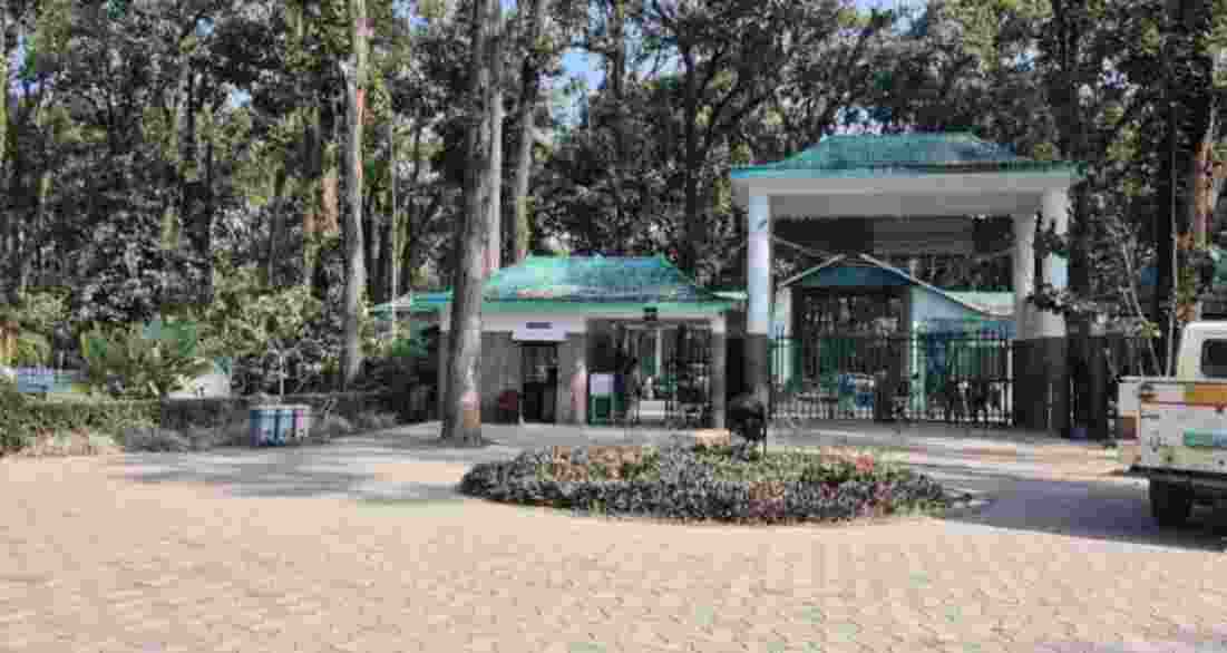 The Forest Department has taken special care of over 2,000 animals housed in six zoos across the state.