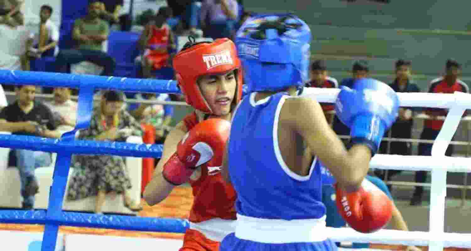 Haryana boxers stamped their authority with a dominating display as six out of seven boxers won comfortably with unanimous 5-0 decisions. Haryana boxers stamped their authority with a dominating display as six out of seven boxers won comfortably with unanimous 5-0 decisions.