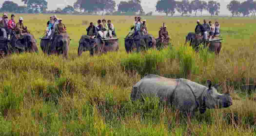 Kaziranga National Park and Tiger Reserve (KNPTR).