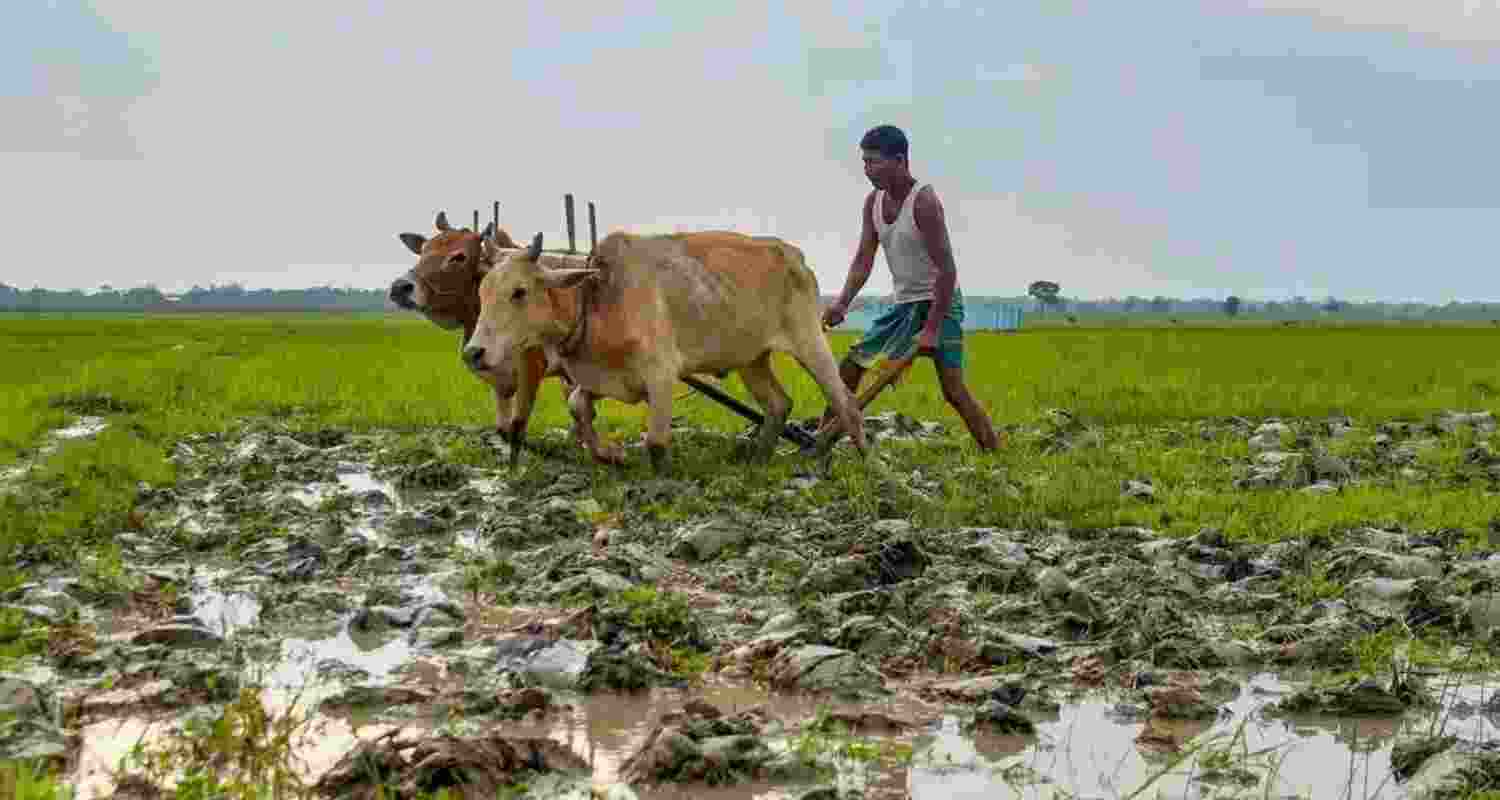 Khet Bachao Andolan: Genuine reform or diversionary tactic?